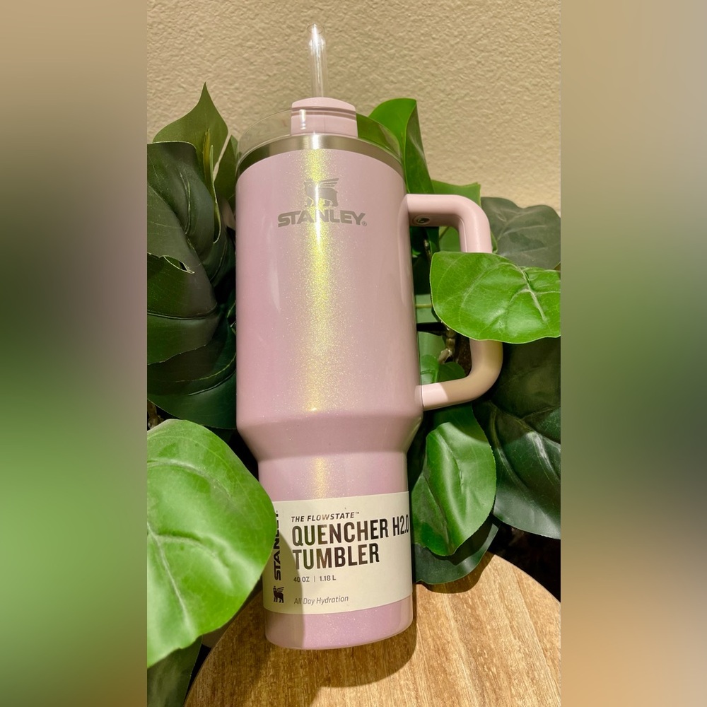 Aster Stanley Tumbler 40oz. Target June 2024 Collection - Picture 3 of 14